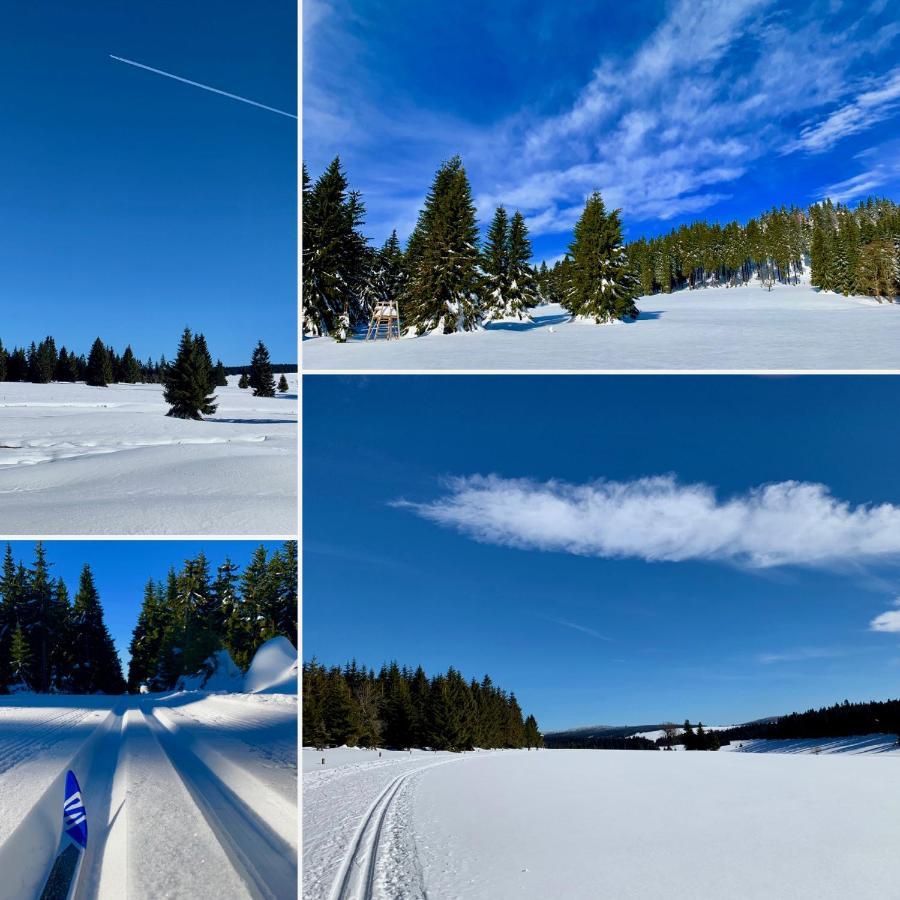 Apartman Ski Plesivec Abertamy Exteriör bild