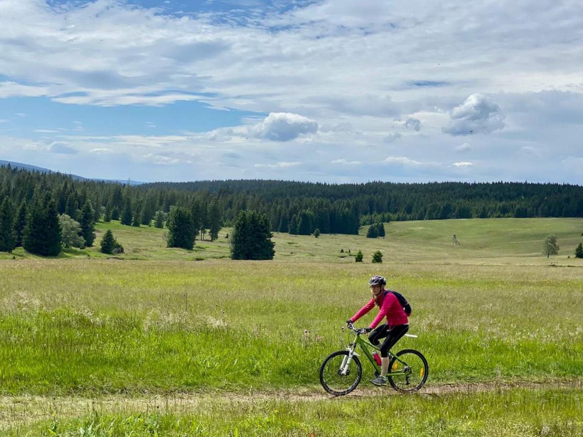 Apartman Ski Plesivec Abertamy Exteriör bild